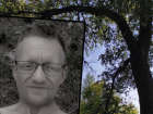 В 350 метрах от трассы: повешенным в лесу под Волгоградом найден пропавший мужчина