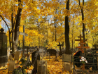 Волгоградская область вошла в ТОП-10 регионов по наибольшему числу смертей от COVID-19