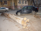 Управляющая компания Волгограда отказывается отвечать за рухнувшее на автомобиль сухое дерево