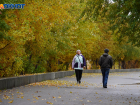 До +14 потеплеет в последний понедельник октября в Волгоградской области