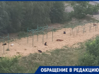 Собаки захватили спортплощадку у гимназии в Волгограде: видео