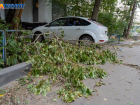 Волгоградское МЧС предупреждает о граде, штормовом ветре и ливне с грозой