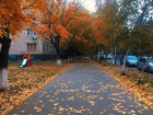 В Волгограде продолжает сохраняться прохладная и туманная погода