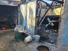 Собаки погибли при пожаре в приюте на 500 голов под Волгоградом
