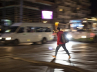 Волгоградские водители просят пешеходов не скакать сайгаками по темным дорогам