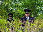 Подозрительные кусты ищут полицейские по всей Волгоградской области