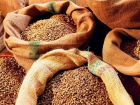 В Волгограде обнаружены 5 тысяч тонн зерна с амбарным долгоносиком