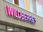 В Волгоградской области Wildberries и Russ совместно с Агентством стратегических инициатив запустят проект для предпринимателей