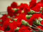 Волгоградские чиновники закупают полторы тысячи гвоздик и 900 роз за счет бюджета