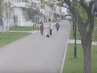 Школьница на самокате сбила пенсионерку в Волгограде: видео
