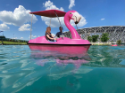 В ЦПКиО Волгограда появятся 20 огромных розовых фламинго