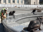 Знаменитые лягушки вернулись в центр Волгограда 
