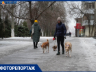 Игра на выживание: Волгоград готовится к удару, который уже шокировал москвичей 