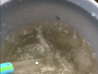 Фильтры не справляются: водяное бедствие отравляет жизнь райцентру под Волгоградом