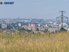 Обглоданный животными труп мужчины нашли в Волгограде