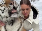 Скандальная волгоградская блогерша чудом увернулась от тигриных клыков: шок-видео 