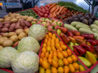 Волгоградский фермер прокомментировал заявление генсека ООН о дефиците еды в 2023 году