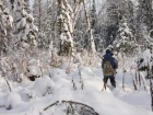 Охотник заблудился в снежную бурю в лесу под Волгоградом