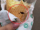 Студентка отобедала бутербродом с тараканом в Волгограде 
