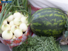 В Волгоградской области селекционеры создали разноцветные арбузы