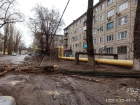 Дерево рухнуло и оборвало провода в Дзержинском районе Волгограда