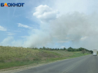 За сосновый лес при виде столба дыма испугались под Волгоградом