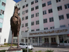 Волгоградский перинатальный центр признан лучшим в стране