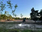 У умирающего сквера в Заканалье развернули загадочную стройку 