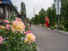 Дожди с грозами при 31-градусной жаре накроют Волгоградскую область