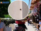 В кафе "Маруся" в центре Волгограда бегают тараканы: видео посетителей