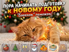 Если хотите идеальный Новый год, начинайте подготовку уже сейчас