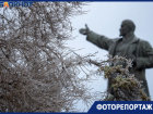  Ледяной дождь повалил деревья в Волгограде: фоторепортаж со скользких улиц 