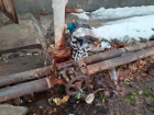 Нерадивую УК в Волгограде оштрафовали за мусор и канализационную вонь в подвале дома