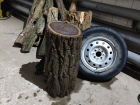 Из волгоградской канализации вытащили  автомобильное колесо и спиленное дерево