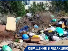 Свалку с разлагающимися трупами собак пять лет требуют убрать в Волгограде