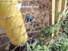 Вода третьи сутки бьет ключом из-под котельной в Волгограде