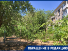 Волгоградцы взбунтовались против организации парковки в своем дворе