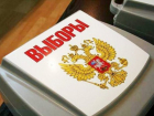 Кандидата в депутаты Волгоградской Облдумы Светлану Осипову сняли с выборов