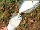 В Городищенском районе создадут молочную ферму