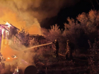 Дачника чудом спасли из горящего дома в Волгоградской области 