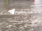 Дороги в Волгограде затопило февральским ливнем