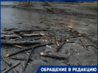 Рухнувшее дерево проломило машины в Волгограде