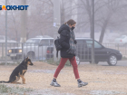 Четверо скончались и 227 заразились: статистика по COVID-19 в Волгоградской области на 16 ноября