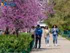 В Волгограде потеплеет до плюс 20 градусов