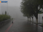 С грозы и дождей начнется последний понедельник августа в Волгограде 
