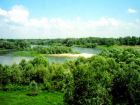 Под Волгоградом 41 га земли природного парка вернули из незаконного владения