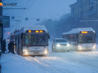 Волгоградцы подписывают петицию к мэру с требованием вернуть маршрут 95-го автобуса