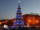 В Волгограде началась установка новогодней елки за 3 млн