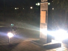 Полчища насекомых сняли на видео в Волгограде 