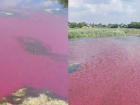 Тайну красной воды в волгоградской реке объяснили ученые